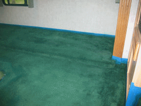 Complete carpet painting project Example of complete carpet painting project